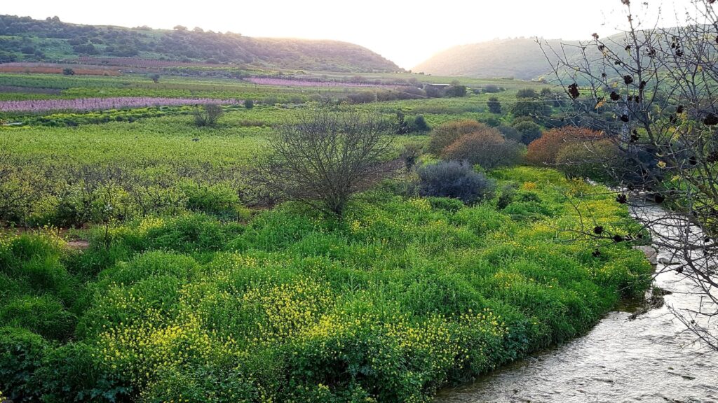 טיולי חורף