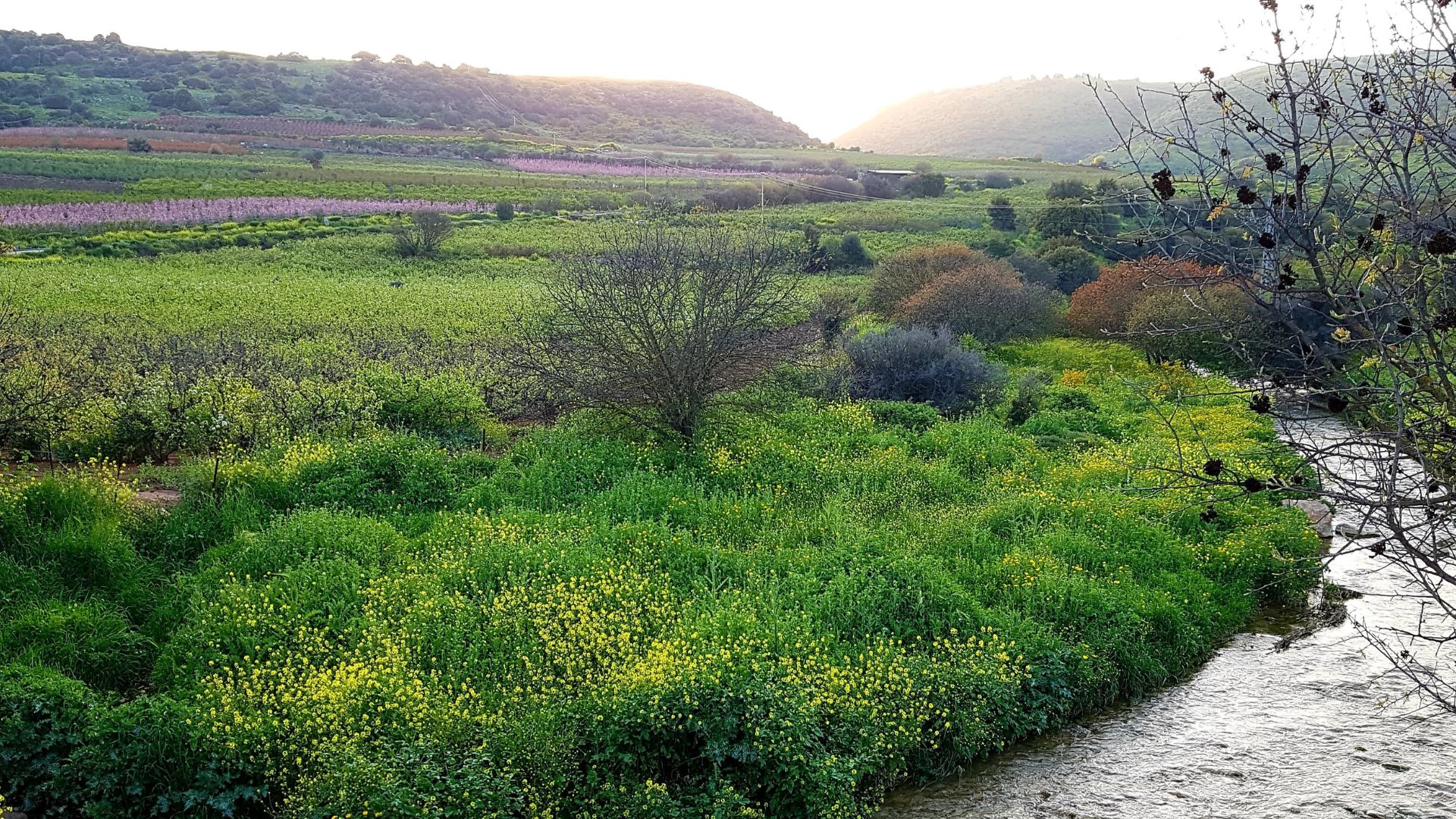 טיולי חורף